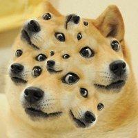 I+really+expected+doge+from+the+title+_ecc92fd9d9dfff48d77547c199d3c79c.jpg