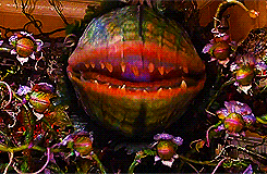 http://x2.fjcdn.com/thumbnails/comments/i+love+that+i+m+not+the+only+one+my+age+_3d45c67905bd409479b1fc74a0936377.gif